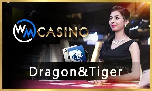 Dynamic Sports Betting